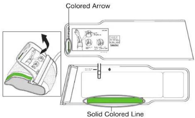 Colored Arrow Solid Colored Line