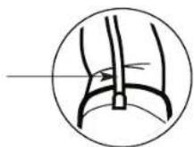 Walgreens 518732 - USING THE ARM CUFF - 5