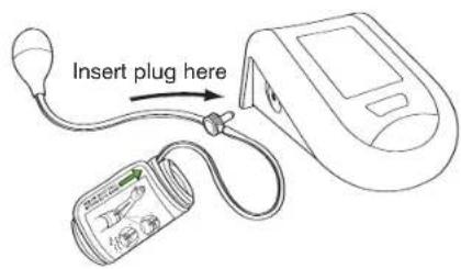 Insert plug here