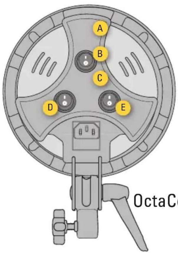 A B C D E OctaC