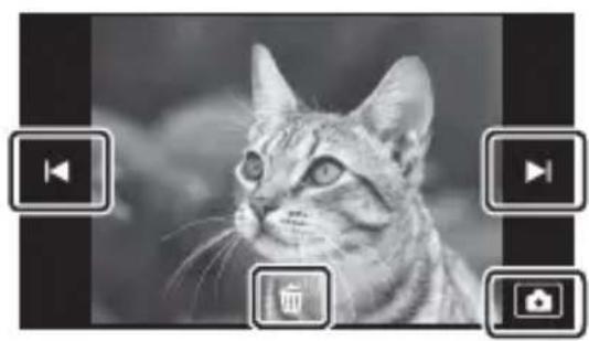 Black-and-white photo of a tabby cat with visible eye, surrounded by video and image control buttons (no text or symbols on the cat's face)