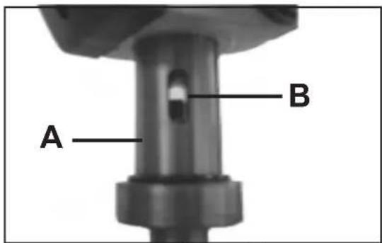 A B