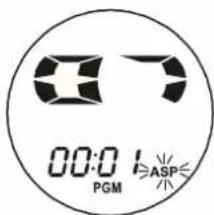 00:0 PGM ASP