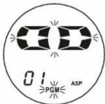 01 PGM ASP