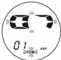 01 PGM ASP