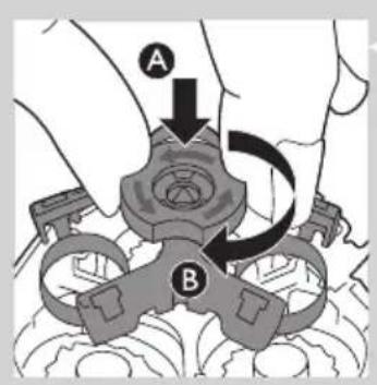 A B
