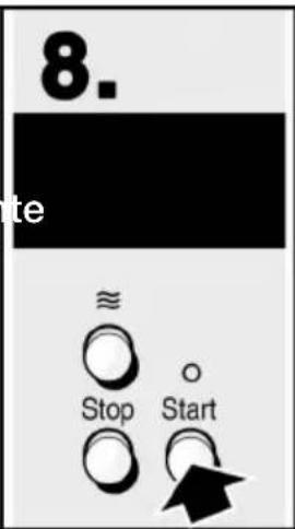 8. te ≈ Stop Start
