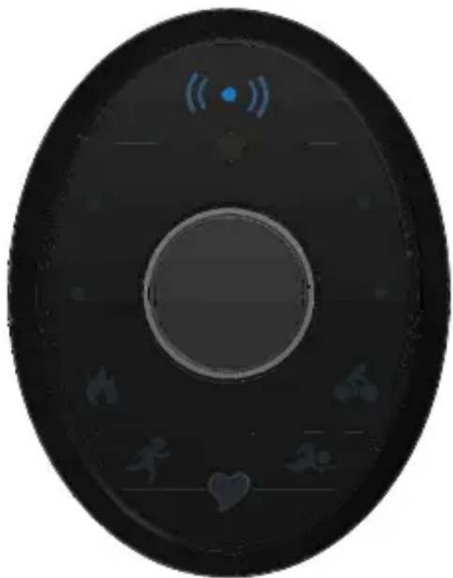 LifeTrak Zoom HRV - LIGHT TRACKING - 1
