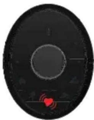 LifeTrak Zoom HRV - LOW STORAGE ALERTS - 2