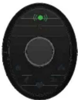 LifeTrak Zoom HRV - CHECK THE BATTERY STATUS - 5