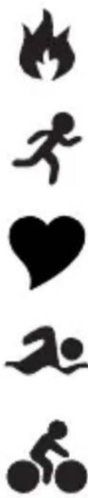 LifeTrak Zoom HRV - Throughout this quick start guide, when you see this symbol, it denotes when LEDs / icons will appear blinking in the display - 2