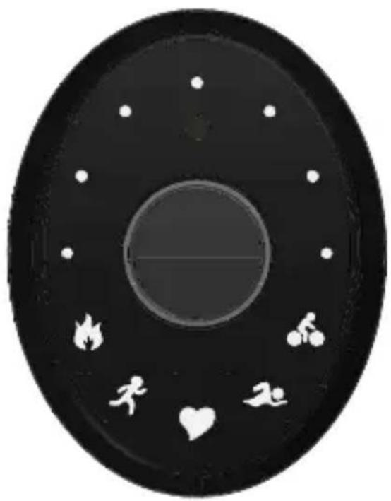 LifeTrak Zoom HRV - Throughout this quick start guide, when you see this symbol, it denotes when LEDs / icons will appear blinking in the display - 1