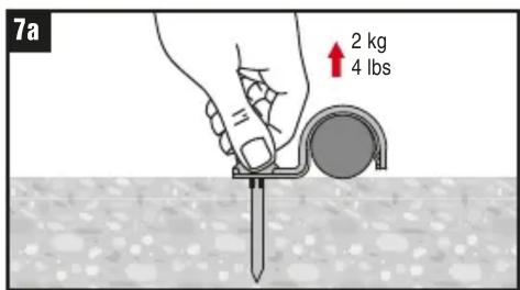 7a 2 kg 4 lbs
