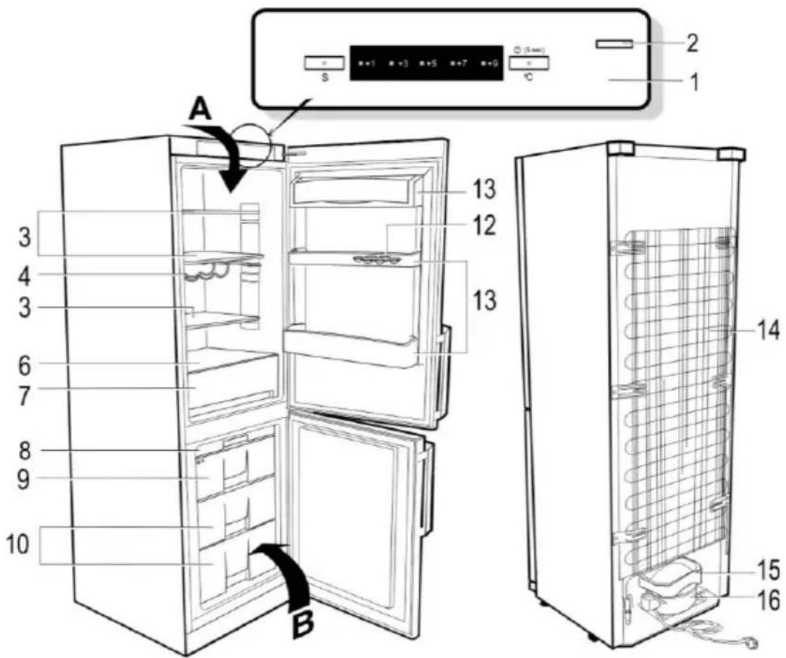 Snaigė Fresh INN RF53SG-P5CB2F0 - RF58SG, RF56SG - 2