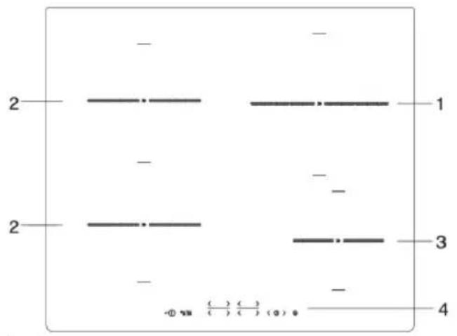 2 - - 1 - - 2 - - 3 - 4 - ① ② ③ ④