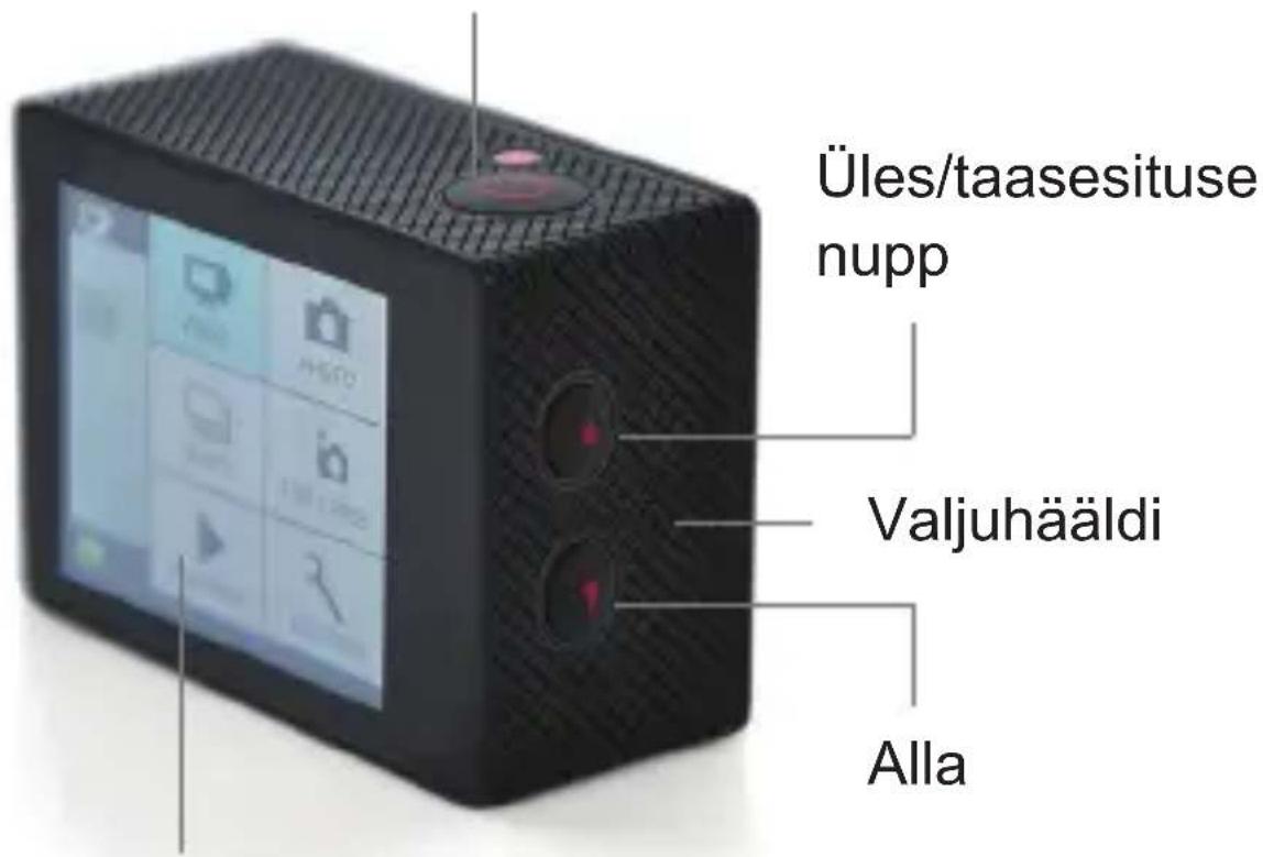 Üles/taasesituse nupp Valjuhääldi Alla