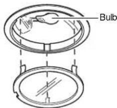 Bulb