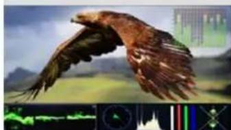 Lilliput Q18-ABBP-CC - - Waveform - 3