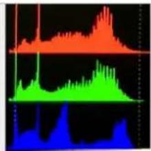 Lilliput Q18-ABBP-CC - - Histogram - 2