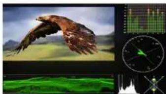 Lilliput Q18-ABBP-CC - - Waveform - 1