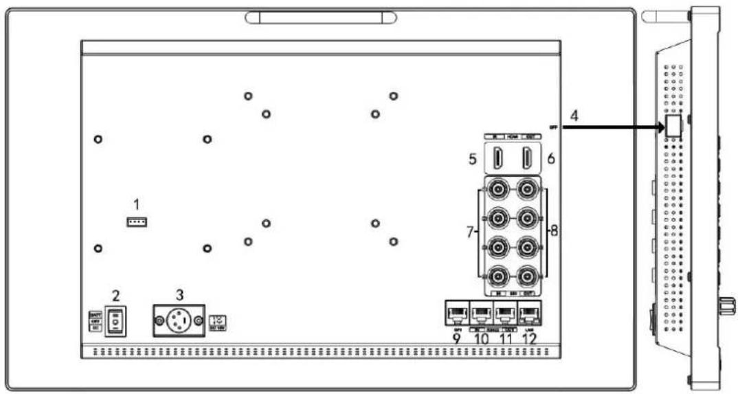 Diagram of an electronic device rear panel with labeled ports and connectors, showing connections to a 12-pin connector.