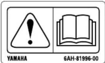 YAMAHA FL250D1 - WARNING - 1