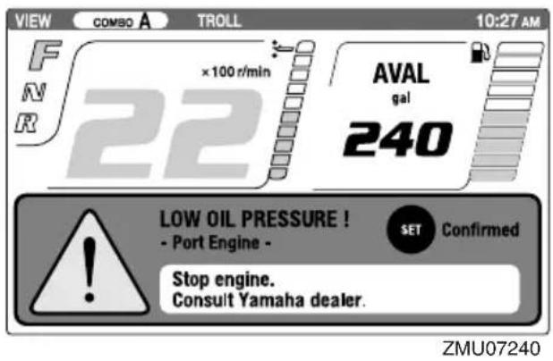 YAMAHA FL250D1 - Instruments and indicators - 2