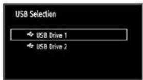 Finlux 55S6040-M - Media Playback Using Media Browser - 2