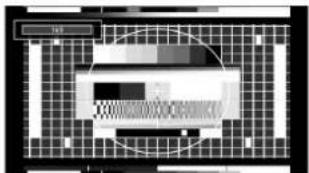 Finlux 55S6040-M - 14:9 - 1