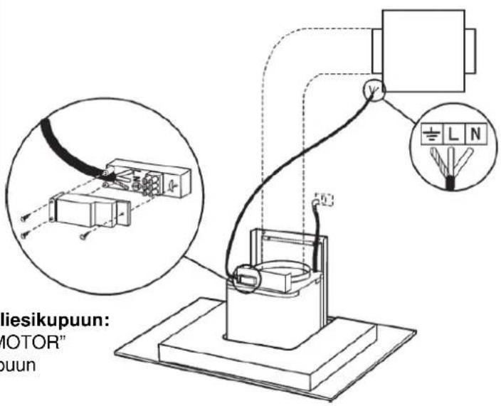 liesikupuun: MOTOR" puun