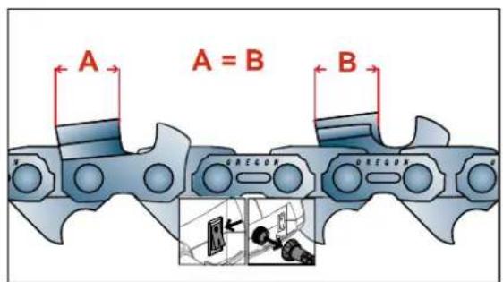A A = B B OREGON DEGON