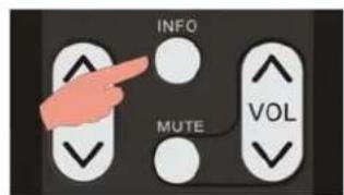 INFO MUTE VOL