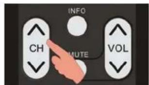 INFO CH MUTE VOL