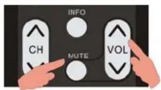 INFO CH MUTE VOL