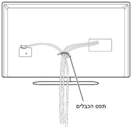LG 42LA613Y - בַרְשָׁה בִיּוֹת - 2