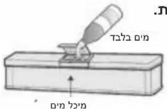 תְרָבִי תְרָבִי תְרָבִי תְרָבִי תְרָבִי תְרָבִי תְרָבִי תְרָבִי תְרָבִי תְרָבִי הַרְשׁ הַרְשׁ הַרְשׁ הַרְשׁ הַרְשׁ הַרְשׁ הַרְשׁ הַרְשׁ הַרְשׁ הַרְשׁ הַרְשׂ הַרְשׂ הַרְשׂ הַרְשׂ הַרְשׂ הַרְשׂ הַרְשׂ הַרְשׂ הַרְשׂ הַרְשׂ הַרְשׁ הַרְשׁ הַרְשׁ הַרְשׁ הַרְשׁ הַרְשׁ הַרְשׁ הַרְשׁ הַרְשׁ הַרְש׃ הַרְש׃ הַרְש׃ הַרְש׃ הַרְש׃ הַרְש׃ הַרְש׃ הַרְש׃ הַרְש׃ הַרְש׃ הַרְשׁ הַרְשׁ הַרְשׁ הַרְשׁ הַרְשׁ הַרְשׁ הַרְשׁ הַרְשׁ הַרְשׁ הַרְש׀ הַרְש׀ הַרְש׀ הַרְש׀ הַרְש׀ הַרְש׀ הַרְש׀ הַרְש׀ הַרְש׀ הַרְש׀ הַרְשׁ