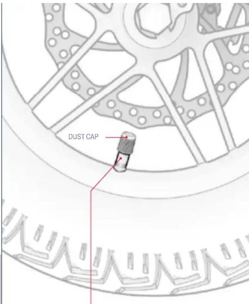 DUST CAP