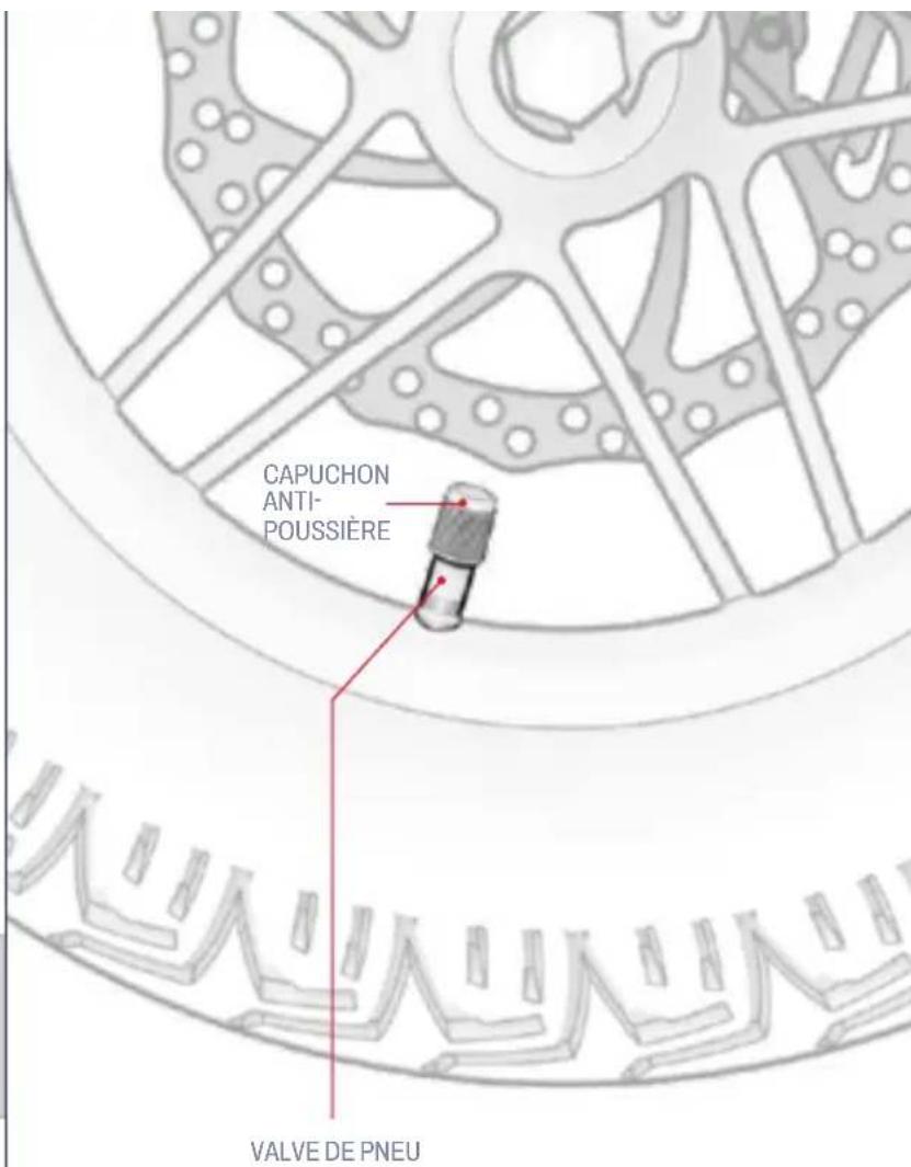 CAPUCHON ANTI- POUSSIÈRE VALVE DE PNEU
