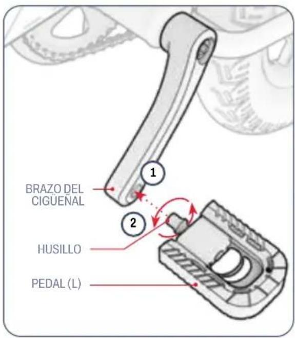 BRAZO DEL CIGUENAL HUSILLO PEDAL (L)