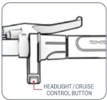 HEADLIGHT / CRUISE CONTROL BUTTON