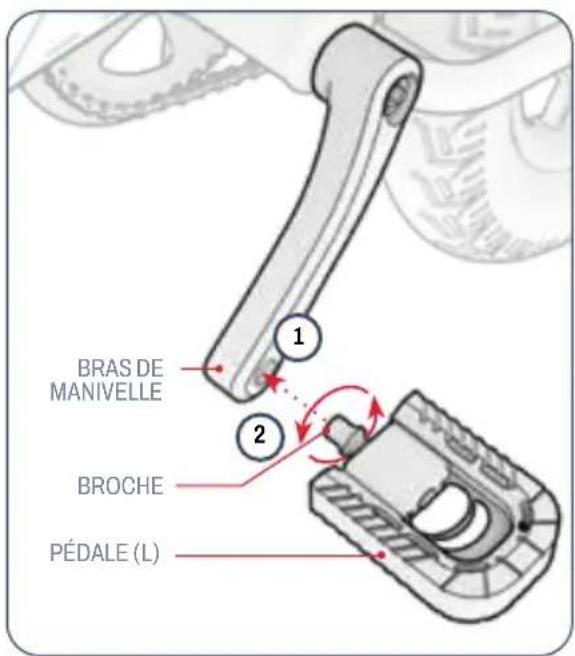 BRAS DE MANIVELLE BROCHE PÉDALE (L)