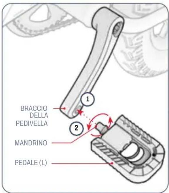 BRACCIO DELLA PEDIVELLA MANDRINO PEDALE (L)