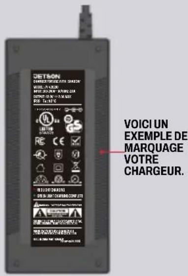 DETSON DAVERES FOR GENDER WITH SHAKON MOBILLY & LXXX MINTO 2013 NEW CHARGE SOUTHE 2014 W. 2-20 MAX D28 TeA970 VOICI UN EXEMPLE DE MARQUAGE VOTRE CHARGEUR.