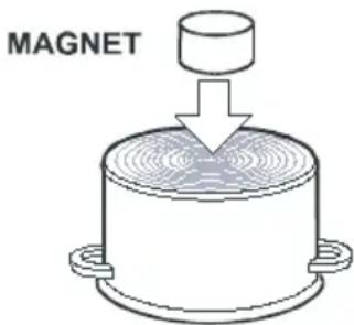 MAGNET