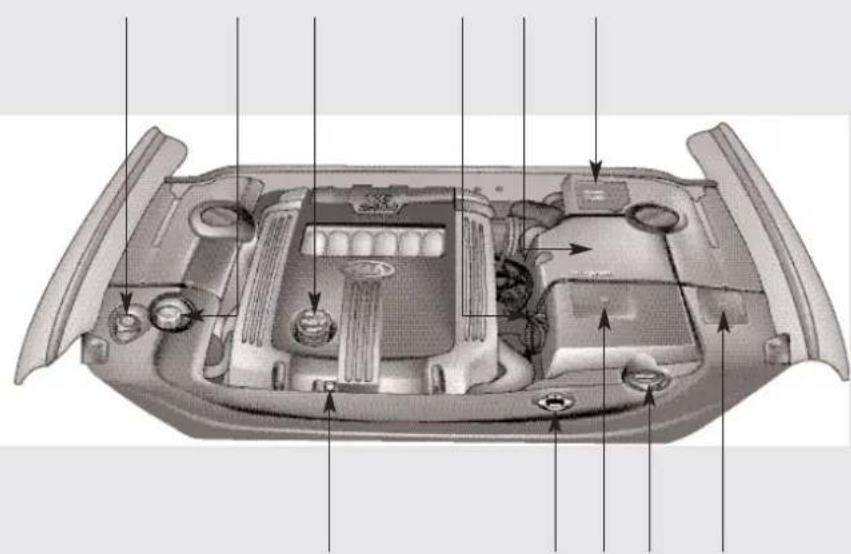 KIA Opirus (2010) - PROSTOR ZA MOTOR - 1