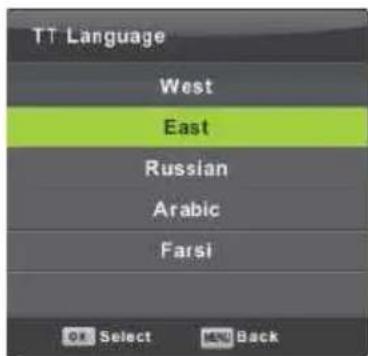Vivax TV-32LE91T2W - TT Language (TT Jezik) - 1