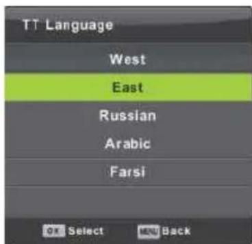 Vivax TV-32LE91T2W - TT Language (TT Jezik) - 1