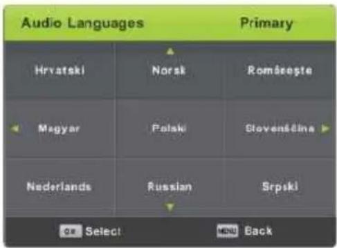 Vivax TV-32LE91T2W - Audio Languages - 1