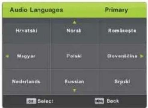 Vivax TV-32LE91T2W - Audio Language (Аудио јазици) - 1