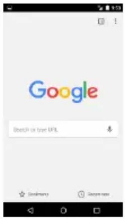 Google Search or true URL